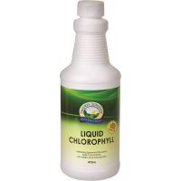 Nature's Sunshine Liquid Chlorophyll Oral Liquid 473ml